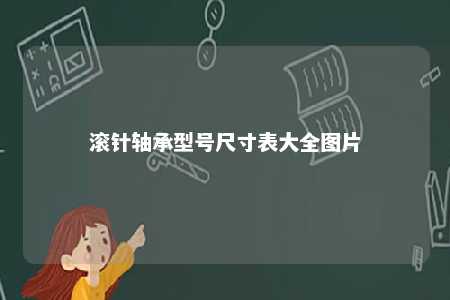 滚针轴承型号尺寸表大全图片 